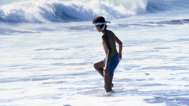 karate kid 2