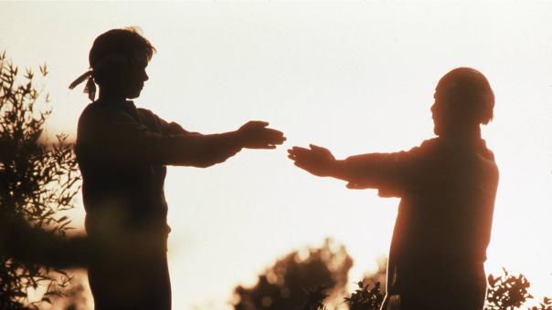 karate kid 4